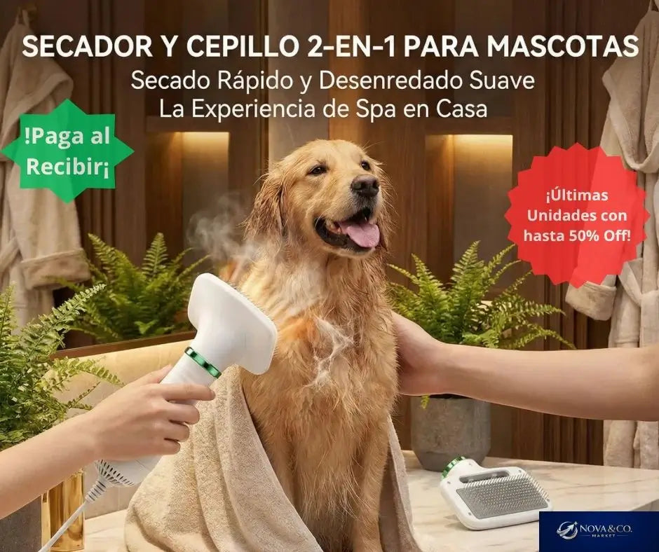 Secador y Cepillo para Mascotas 2 en 1